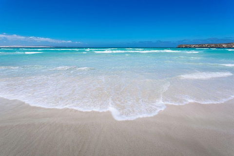 Coffin Bay Oysters, Ocean & Nature Tour - Accommodation Whitsundays 14