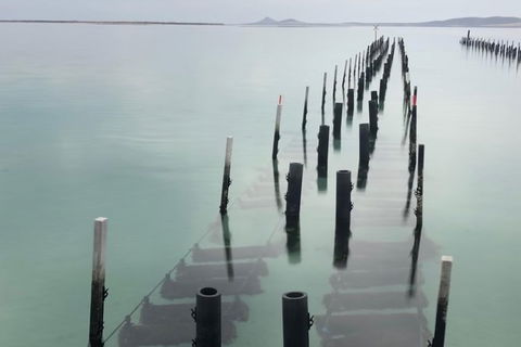 Coffin Bay Oysters, Ocean & Nature Tour - Accommodation Whitsundays 15