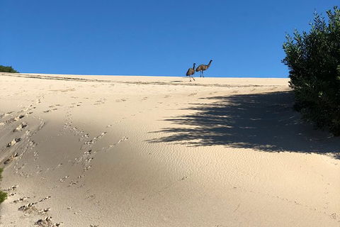 Coffin Bay Oysters, Ocean & Nature Tour - Accommodation Whitsundays 4