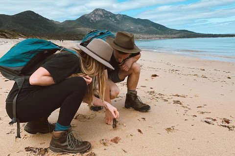Freycinet Walking Tour - Accommodation Whitsundays 0
