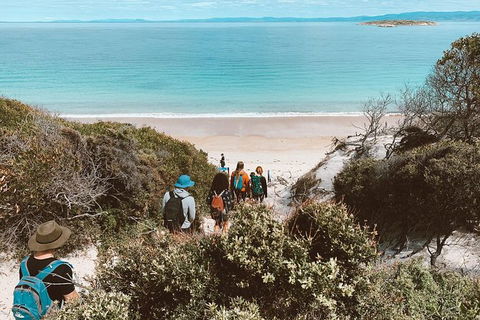 Freycinet Walking Tour - Accommodation Whitsundays 2