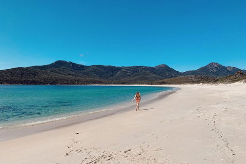 Freycinet Walking Tour - Accommodation Whitsundays 5