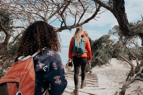 Freycinet Walking Tour - Accommodation Whitsundays 6