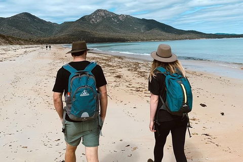 Freycinet Walking Tour - Accommodation Whitsundays 7