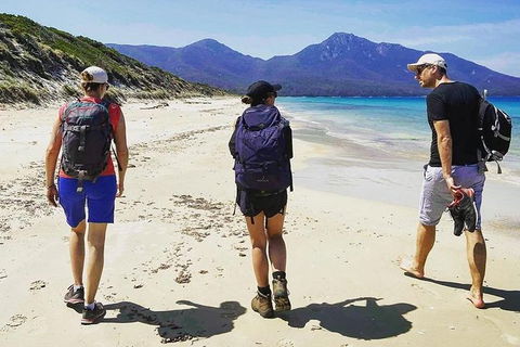 Freycinet Walking Tour - Accommodation Whitsundays 1