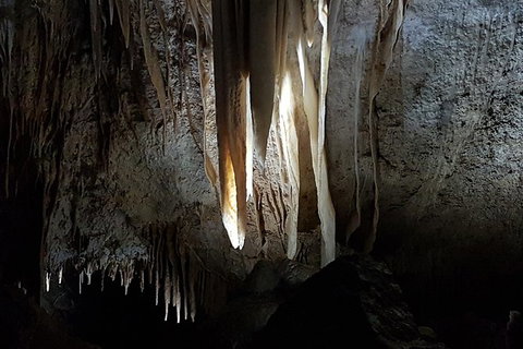 Shore Excursion: Coast, Caves And Wildlife Park - 8 Hour Tour - Accommodation Whitsundays 10