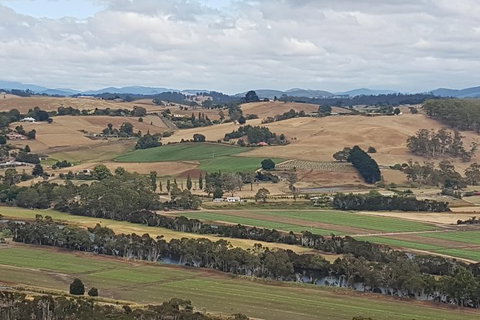 Shore Excursion: Coast, Caves And Wildlife Park - 8 Hour Tour - Accommodation Whitsundays 4