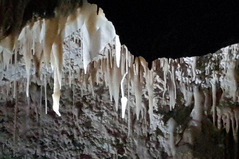 Shore Excursion: Coast, Caves And Wildlife Park - 8 Hour Tour - Accommodation Whitsundays 21