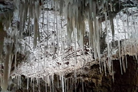 Shore Excursion: Coast, Caves And Wildlife Park - 8 Hour Tour - Accommodation Whitsundays 15