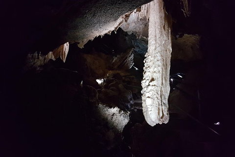 Shore Excursion: Coast, Caves And Wildlife Park - 8 Hour Tour - Accommodation Whitsundays 12