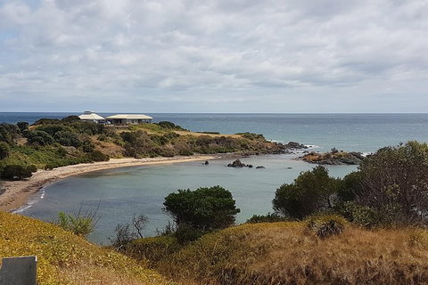 Shore Excursion: Coast, Caves And Wildlife Park - 8 Hour Tour - Accommodation Whitsundays 0