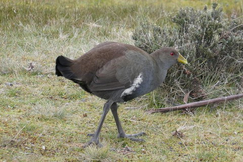 Shore Excursion: Coast, Caves And Wildlife Park - 8 Hour Tour - Accommodation Whitsundays 2