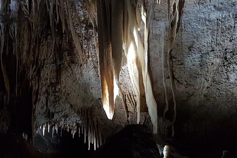 Shore Excursion: Coast, Caves And Wildlife Park - 8 Hour Tour - Accommodation Whitsundays 7