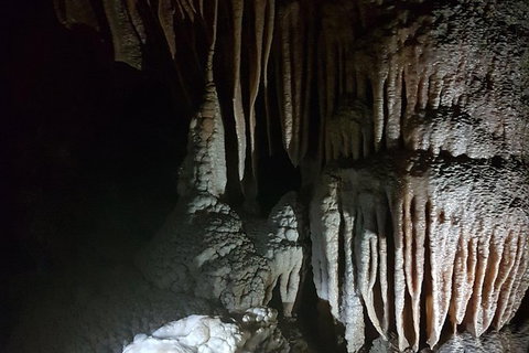 Shore Excursion: Coast, Caves And Wildlife Park - 8 Hour Tour - Accommodation Whitsundays 8