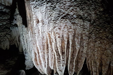 Shore Excursion: Coast, Caves And Wildlife Park - 8 Hour Tour - Accommodation Whitsundays 13