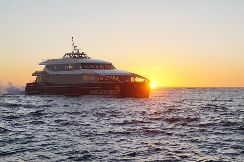 Afternoon Gordon River Dinner Cruise - Departing 3pm - Accommodation Whitsundays 0