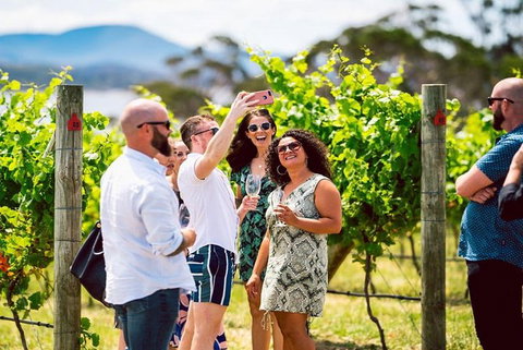 Hobart: Highlights Of Tasmanian Wine Full Day Tour - Accommodation Whitsundays 3