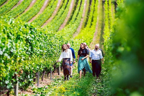 Hobart: Highlights Of Tasmanian Wine Full Day Tour - Accommodation Whitsundays 0