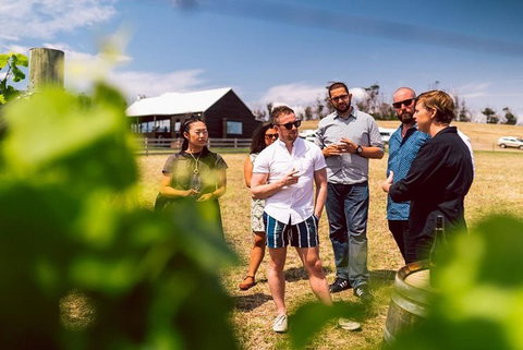 Hobart: Highlights Of Tasmanian Wine Full Day Tour - Accommodation Whitsundays 2