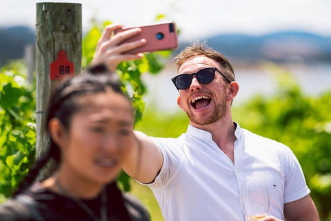 Hobart: Highlights Of Tasmanian Wine Full Day Tour - Accommodation Whitsundays 1