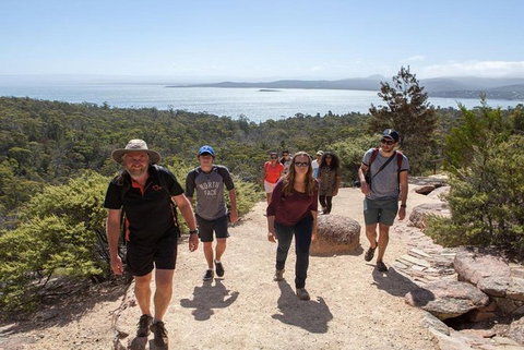 Half-Day Tour To Wineglass Bay From Launceston With Guide - Accommodation Whitsundays 4
