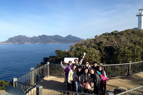 Half-Day Tour To Wineglass Bay From Launceston With Guide - Accommodation Whitsundays 3