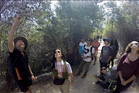 Half-Day Tour To Wineglass Bay From Launceston With Guide - Accommodation Whitsundays 1