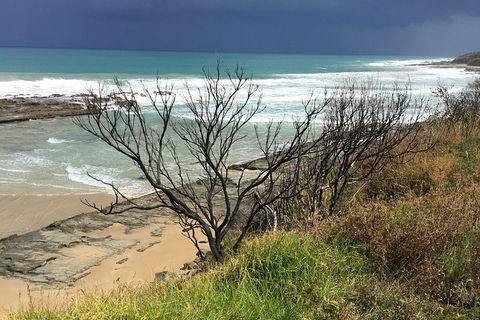 3-Day Melbourne To Adelaide Tour Including The Great Ocean Road - Accommodation Whitsundays 9