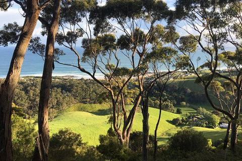 3-Day Melbourne To Adelaide Tour Including The Great Ocean Road - Accommodation Whitsundays 4