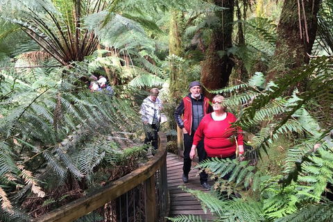 Overnight Great Ocean Road Tour From Melbourne - Accommodation Whitsundays 2
