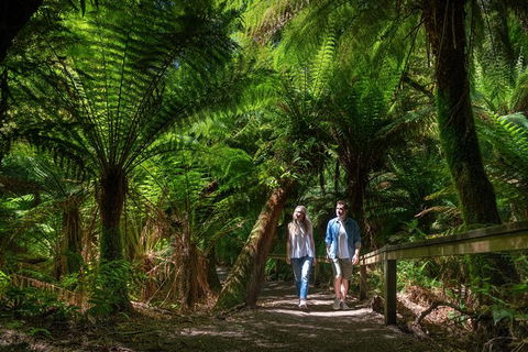 The Great Ocean Road 1 Day Private Sunset Tour - Accommodation Whitsundays 1