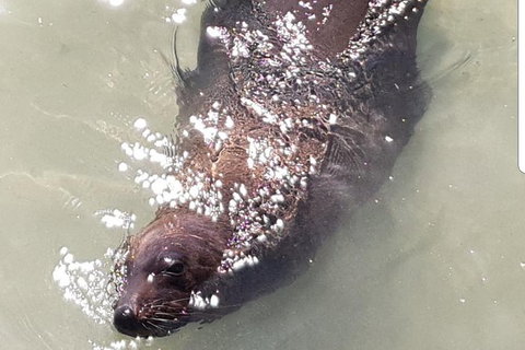 Warrnambool Wanderer Tour - Accommodation Whitsundays 5