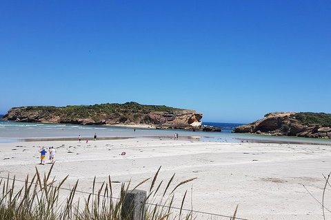 Warrnambool Wanderer Tour - Accommodation Whitsundays 1