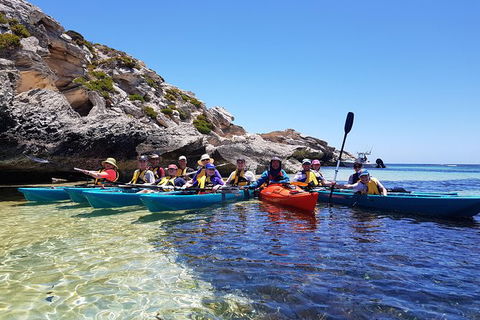 Rottnest Glass Bottom Kayaking Tour - Accommodation Whitsundays 0