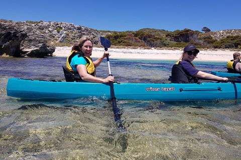 Rottnest Glass Bottom Kayaking Tour - Accommodation Whitsundays 2