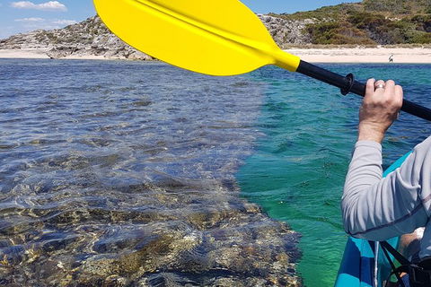 Rottnest Glass Bottom Kayaking Tour - Accommodation Whitsundays 3