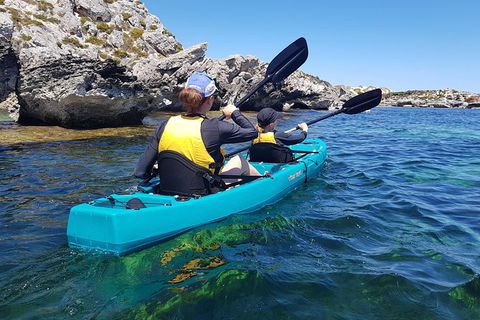 Rottnest Glass Bottom Kayaking Tour - Accommodation Whitsundays 4