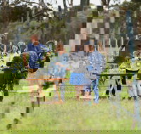 Organic Vineyard/Farm Tour - Accommodation Whitsundays