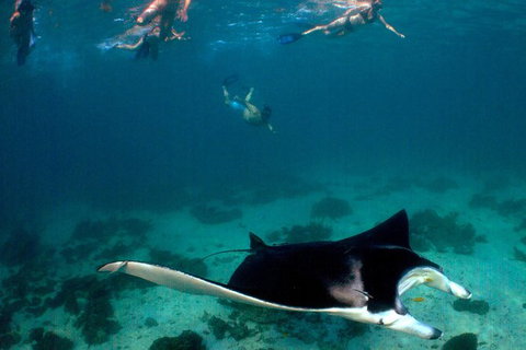 5 Night Ningaloo Reef Ningaloo Escape From Coral Bay - Accommodation Whitsundays 1