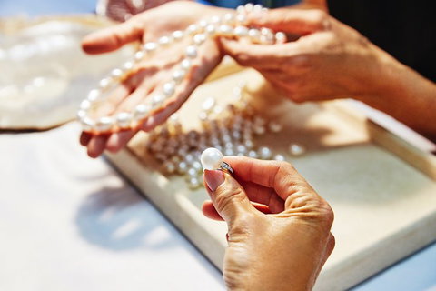 Cygnet Bay Explorer - Accommodation Whitsundays 7