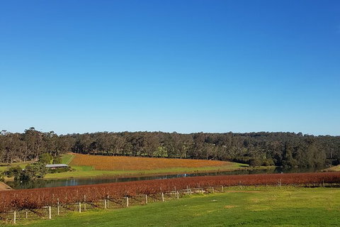 Highlights Of Margaret River: Boutique Wineries & Unique Experiences - Accommodation Whitsundays 5