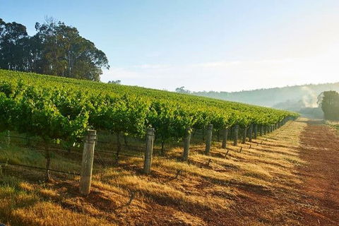Botanical Gardens, Winery And Scenic Full Day Tour - Accommodation Whitsundays 2