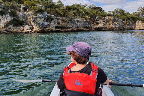 Cliffs And Caves Kayak Tour In Swan River - Accommodation Whitsundays 1