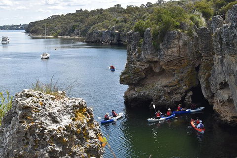 Cliffs And Caves Kayak Tour In Swan River - Accommodation Whitsundays 2