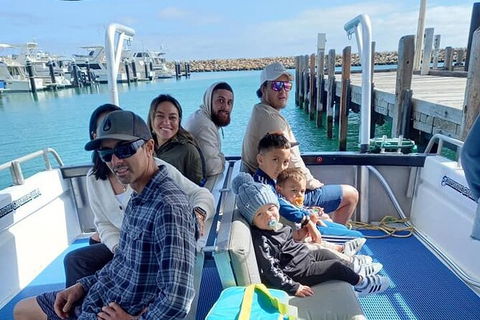 Whale Watching Boat Tour In Geraldton - Accommodation Whitsundays 1