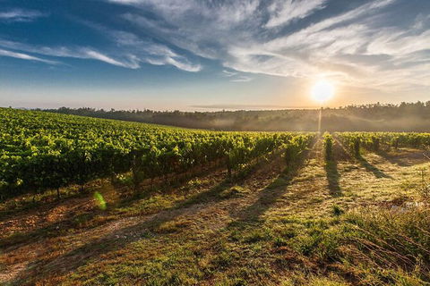 Perth To Margaret River Wine Tour - 2 Day Premium Boutique Wine Tour Experience - Accommodation Whitsundays 0