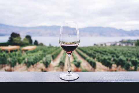Full-Day Gourmet Wine Tour With Pick Up And Lunch - Accommodation Whitsundays 1