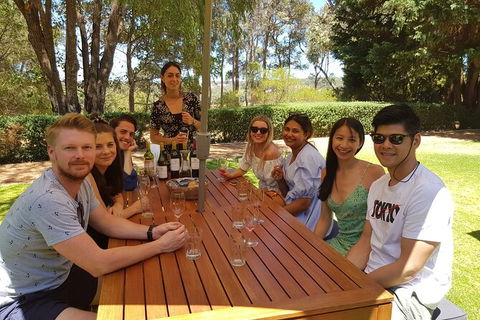 Full-Day Gourmet Wine Tour With Pick Up And Lunch - Accommodation Whitsundays 5