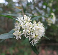 Booderee National Park - Accommodation Whitsundays