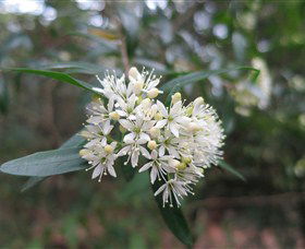 Booderee National Park - Accommodation Whitsundays 0